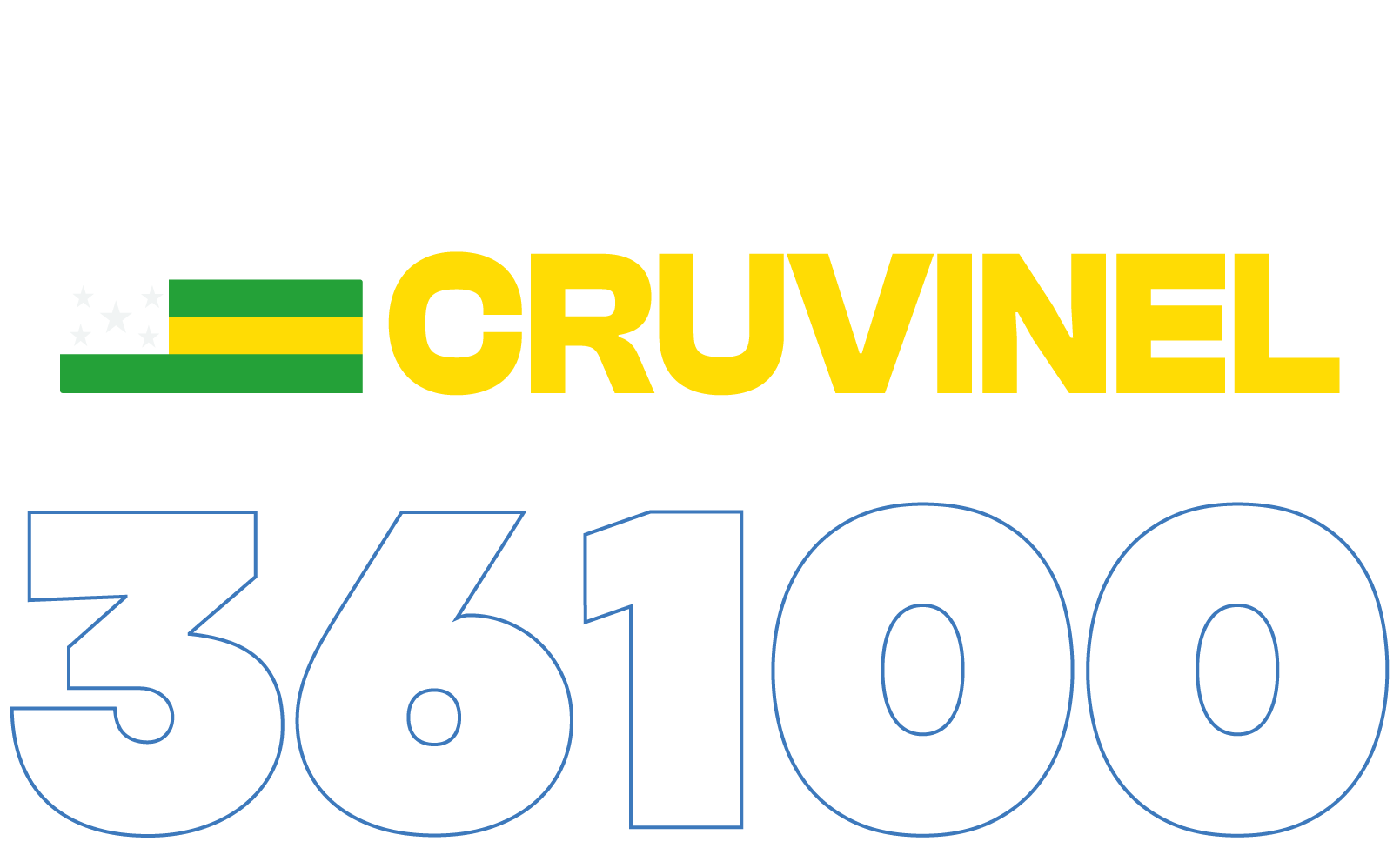 Fernando Cruvinel 36100 - Candidato a Deputado Estadual por Goias